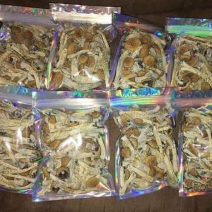 Liberty Cap magic mushroom Buy
