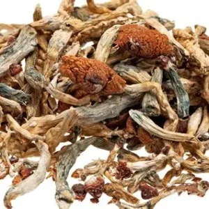 Magic Mushroom