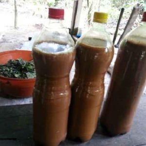 Ayahuasca Retreat Ireland 2025 Buy