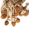 Buy B+ mushrooms online in Ireland