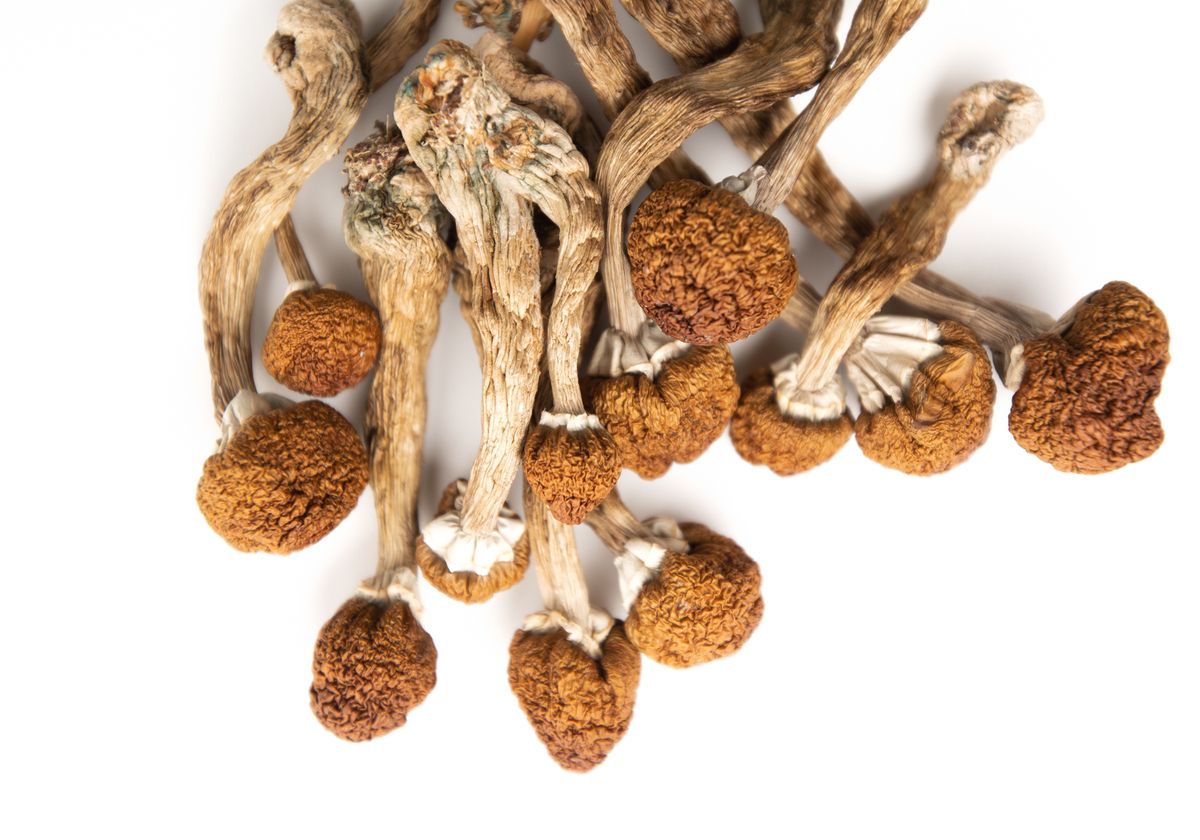 Buy B+ mushrooms online in Ireland